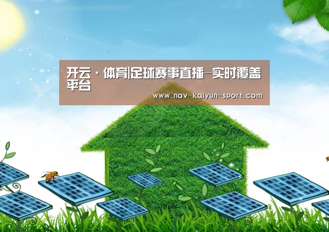 开云公司