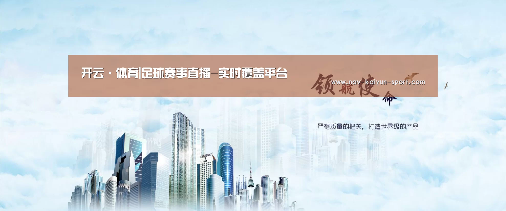 开云公司