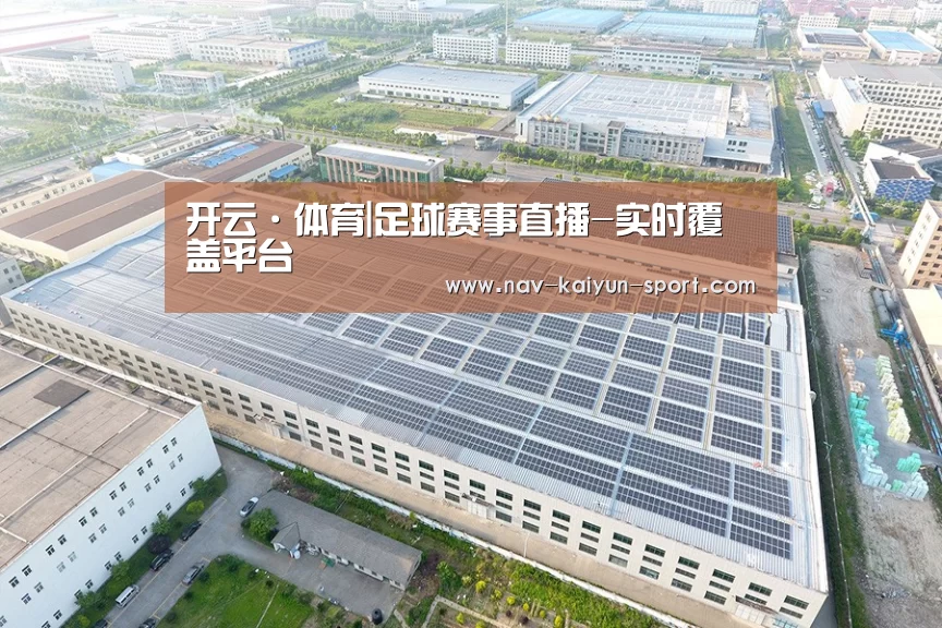 案例展示二