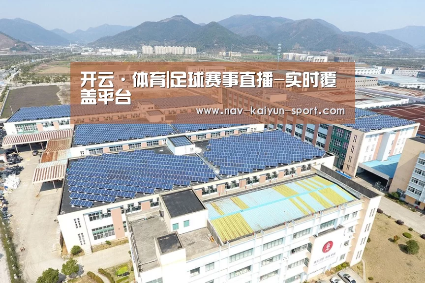 案例展示一