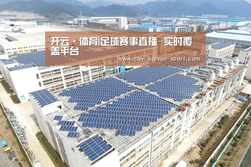 案例展示二