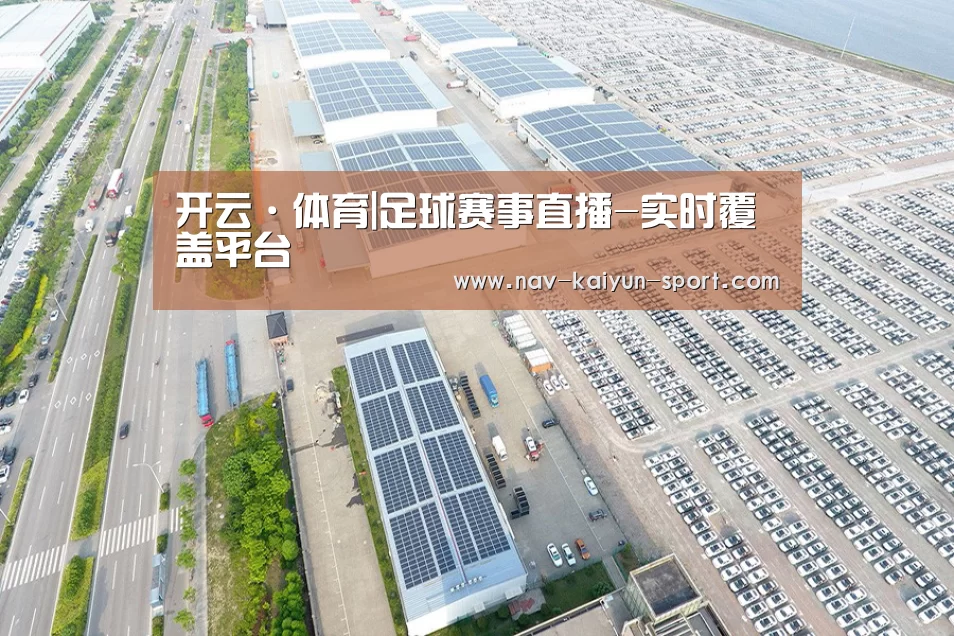 案例展示一