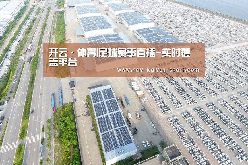 案例展示一
