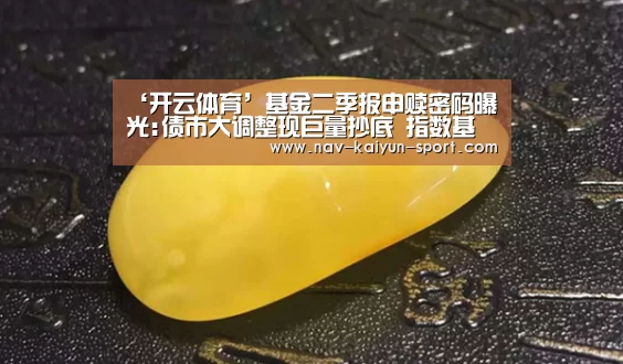 ‘开云体育’基金二季报申赎密码曝光:债市大调整现巨量抄底 指数基金众人离场(图1) 开云体育