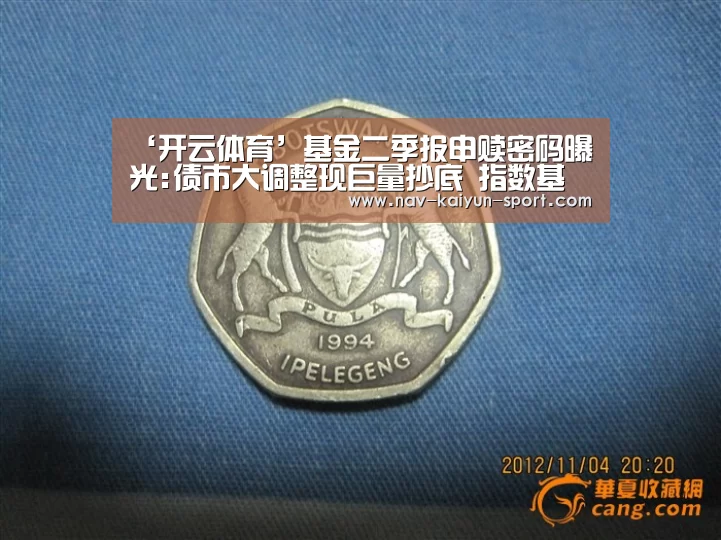 ‘开云体育’基金二季报申赎密码曝光:债市大调整现巨量抄底 指数基金众人离场(图3) 开云